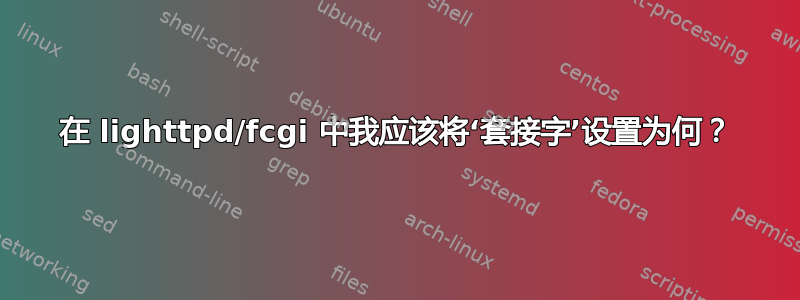 在 lighttpd/fcgi 中我应该将‘套接字’设置为何？