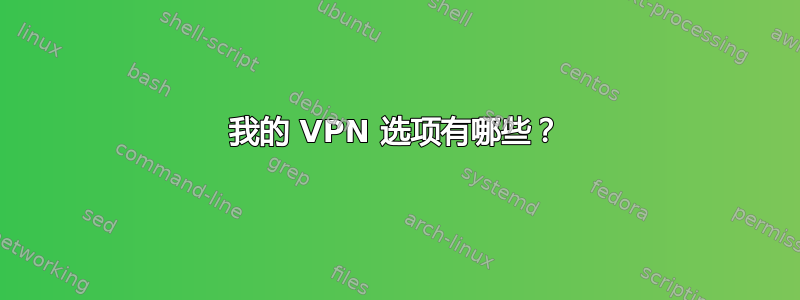 我的 VPN 选项有哪些？