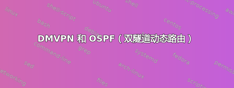 DMVPN 和 OSPF（双隧道动态路由）