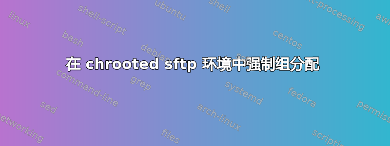 在 chrooted sftp 环境中强制组分配