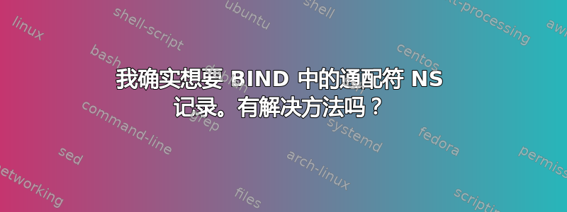 我确实想要 BIND 中的通配符 NS 记录。有解决方法吗？