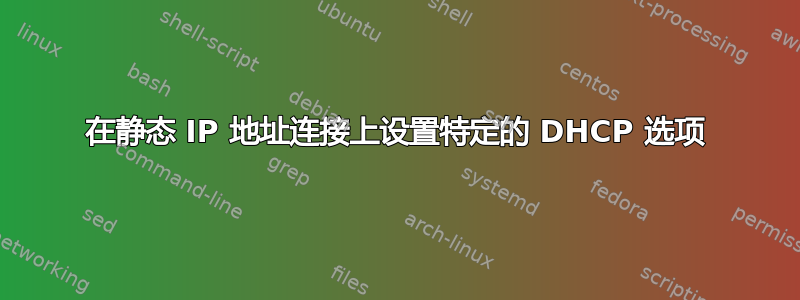 在静态 IP 地址连接上设置特定的 DHCP 选项