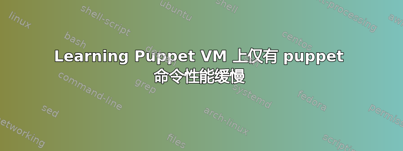 Learning Puppet VM 上仅有 puppet 命令性能缓慢