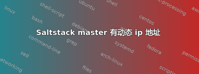 Saltstack master 有动态 ip 地址