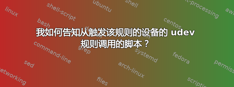 我如何告知从触发该规则的设备的 udev 规则调用的脚本？