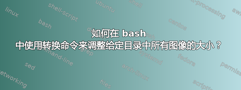 如何在 bash 中使用转换命令来调整给定目录中所有图像的大小？