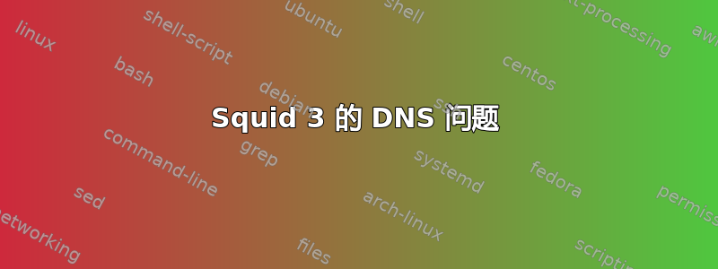 Squid 3 的 DNS 问题