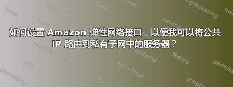 如何设置 Amazon 弹性网络接口，以便我可以将公共 IP 路由到私有子网中的服务器？