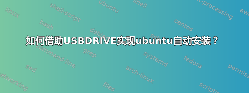 如何借助USBDRIVE实现ubuntu自动安装？