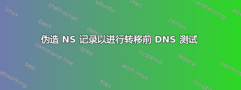 伪造 NS 记录以进行转移前 DNS 测试