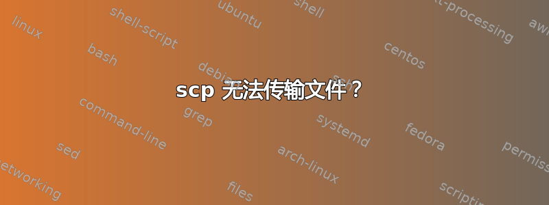 scp 无法传输文件？