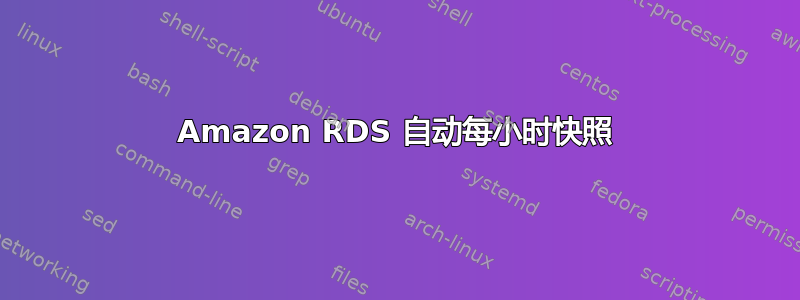 Amazon RDS 自动每小时快照