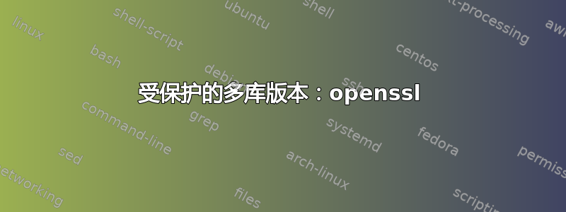 受保护的多库版本：openssl