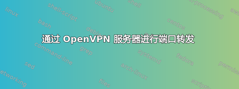 通过 OpenVPN 服务器进行端口转发