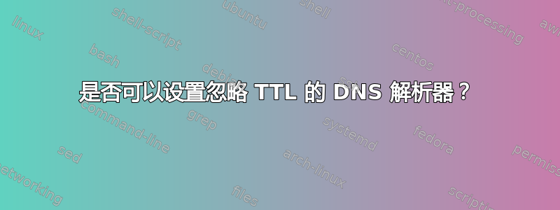 是否可以设置忽略 TTL 的 DNS 解析器？