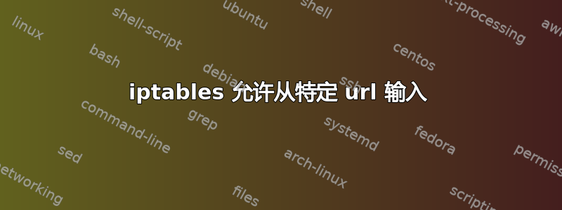 iptables 允许从特定 url 输入