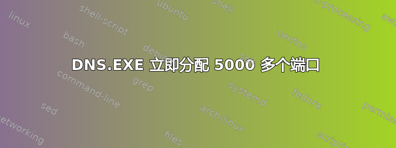 DNS.EXE 立即分配 5000 多个端口