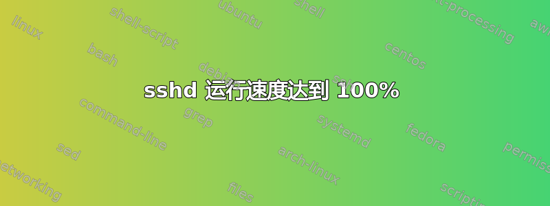 sshd 运行速度达到 100%