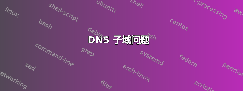 DNS 子域问题 