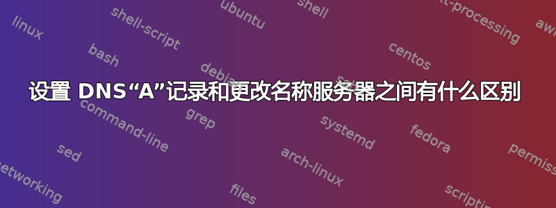 设置 DNS“A”记录和更改名称服务器之间有什么区别