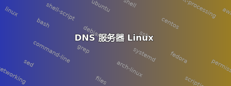 DNS 服务器 Linux