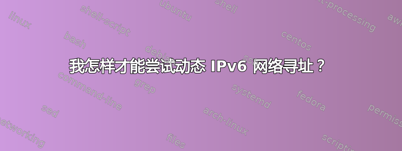 我怎样才能尝试动态 IPv6 网络寻址？