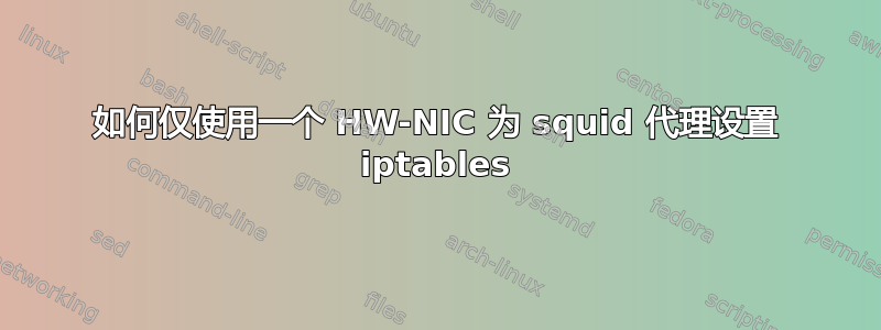 如何仅使用一个 HW-NIC 为 squid 代理设置 iptables