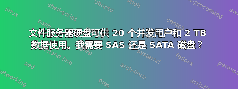 文件服务器硬盘可供 20 个并发用户和 2 TB 数据使用。我需要 SAS 还是 SATA 磁盘？