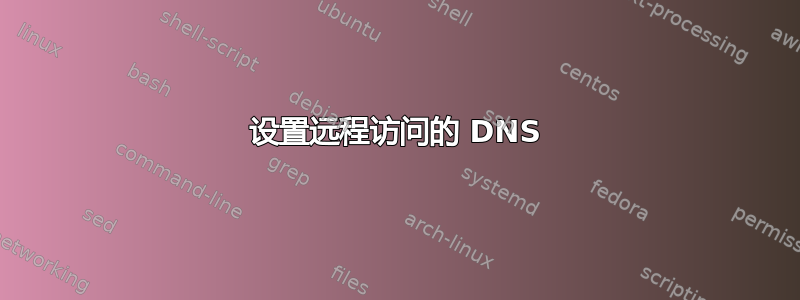 设置远程访问的 DNS