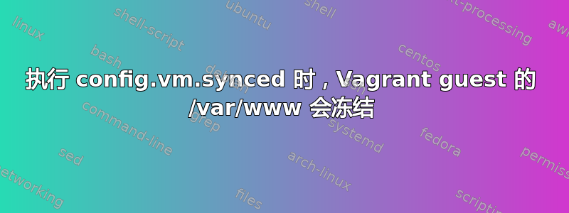 执行 config.vm.synced 时，Vagrant guest 的 /var/www 会冻结