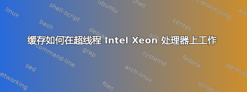 缓存如何在超线程 Intel Xeon 处理器上工作