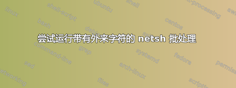 尝试运行带有外来字符的 netsh 批处理