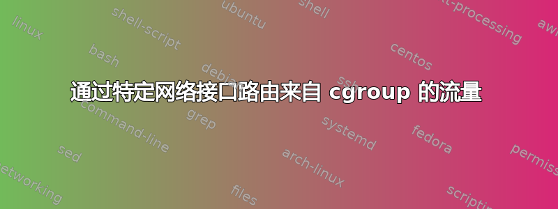 通过特定网络接口路由来自 cgroup 的流量