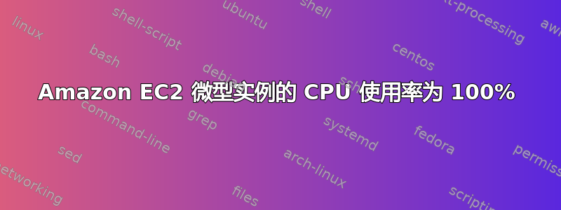 Amazon EC2 微型实例的 CPU 使用率为 100%