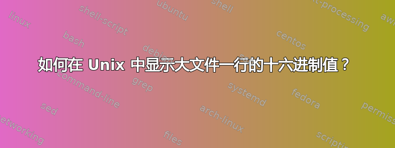 如何在 Unix 中显示大文件一行的十六进制值？