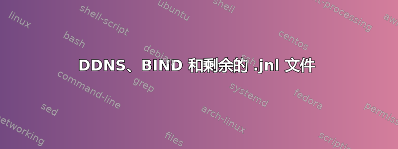 DDNS、BIND 和剩余的 .jnl 文件