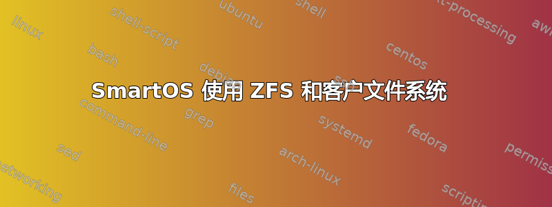 SmartOS 使用 ZFS 和客户文件系统 