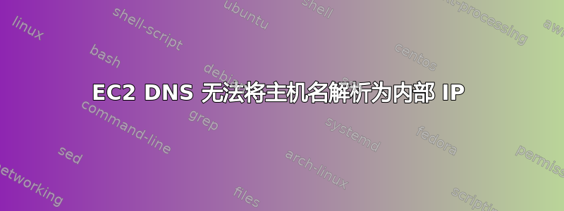 EC2 DNS 无法将主机名解析为内部 IP