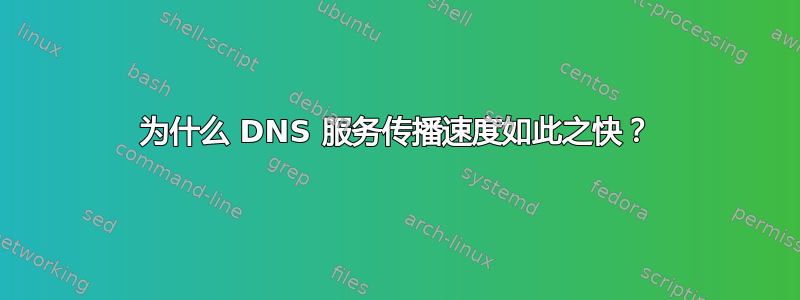 为什么 DNS 服务传播速度如此之快？