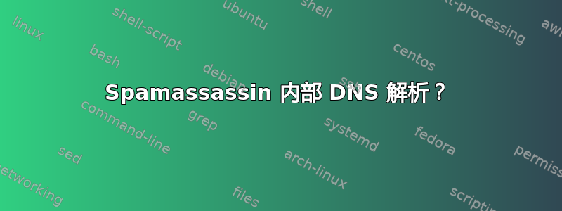 Spamassassin 内部 DNS 解析？