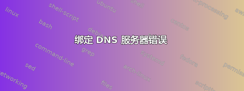 绑定 DNS 服务器错误