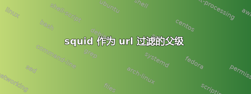 squid 作为 url 过滤的父级