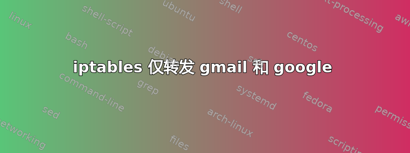 iptables 仅转发 gmail 和 google