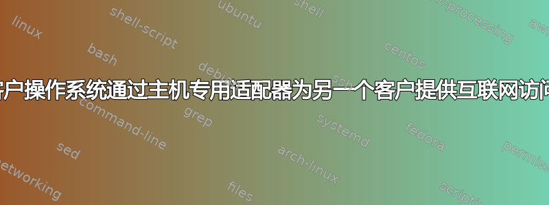 客户操作系统通过主机专用适配器为另一个客户提供互联网访问