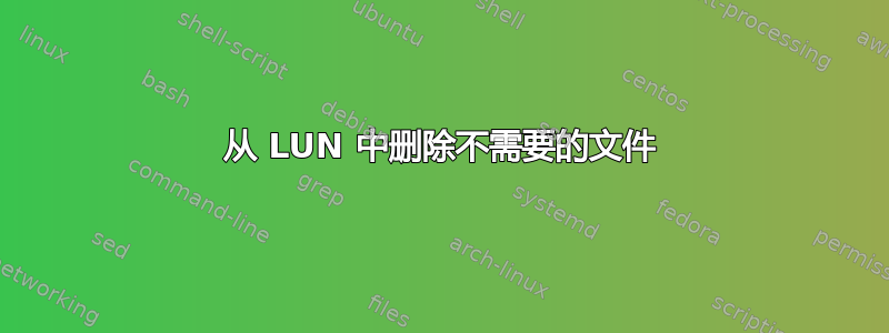 从 LUN 中删除不需要的文件