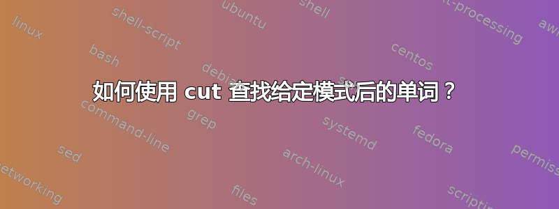 如何使用 cut 查找给定模式后的单词？