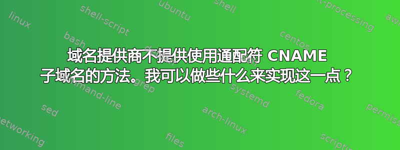 域名提供商不提供使用通配符 CNAME 子域名的方法。我可以做些什么来实现这一点？