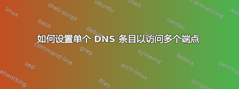 如何设置单个 DNS 条目以访问多个端点