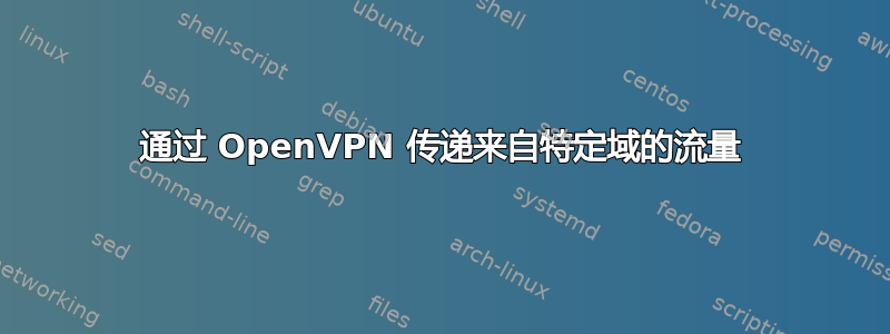 通过 OpenVPN 传递来自特定域的流量