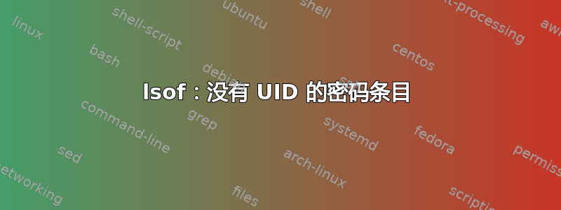 lsof：没有 UID 的密码条目